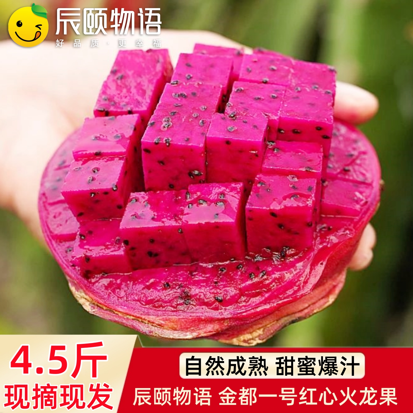 辰颐物语广西金都一号红心火龙果