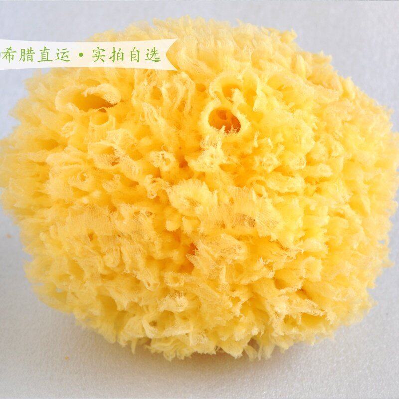 希宝妮草海绵希腊直运天然海绵