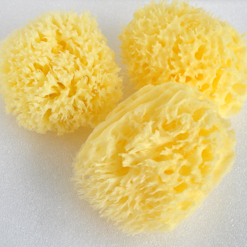 希宝妮天然蜂窝洁面扑海绵洗脸洗泥膜宝宝洗澡 希腊地中海海藻绵