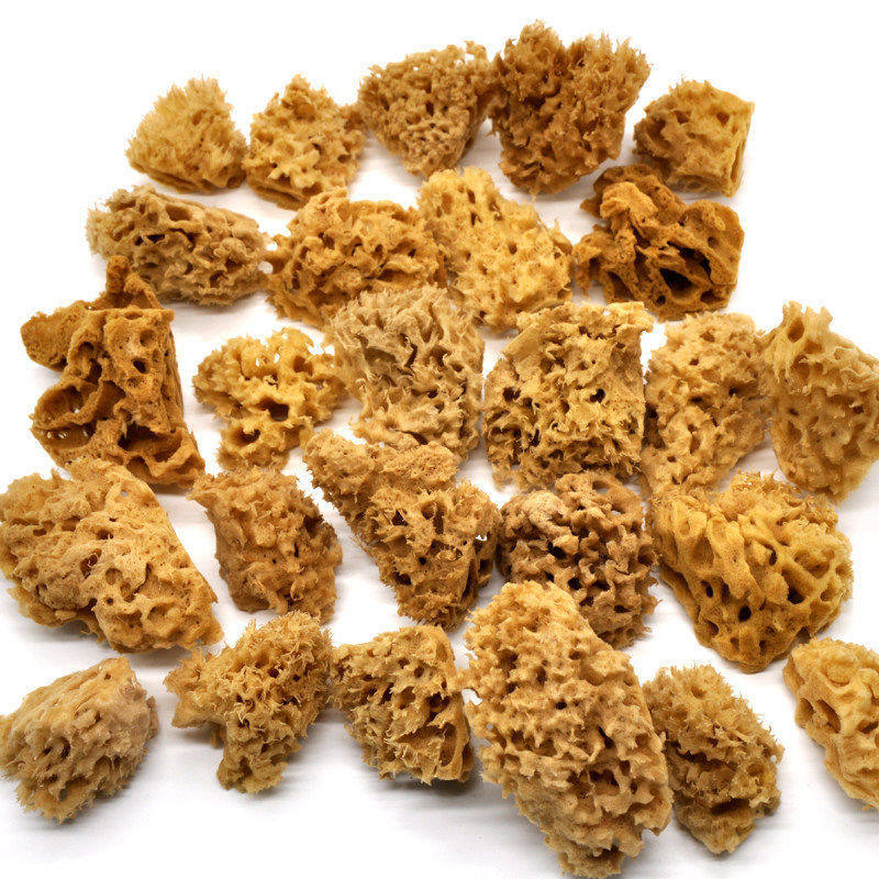 希腊天然海绵迷你超小蜂窝绵草海绵 素描绘画擦色油画印花 非洗脸