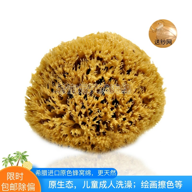 希腊天然海藻棉 自然原色蜂窝洗澡角质海绵5.5~6英寸地中海沐浴刷