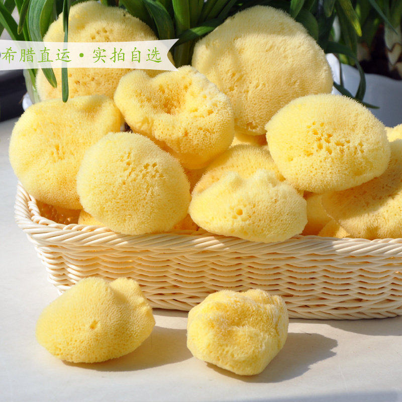 地中海天然丝海绵 脱色原色海藻棉3.0~3.5英寸小号洁面卸妆洗脸绵