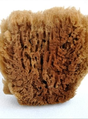 深海实心草海绵天然老海藻棉 拍花绘画艺术漆硅藻泥工具非浴刷
