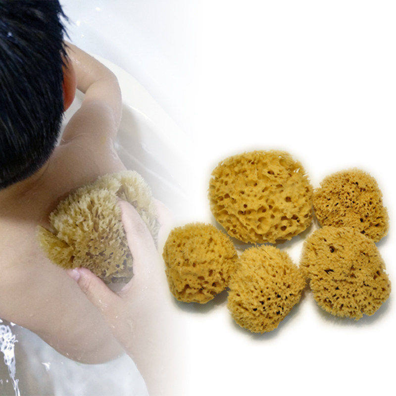 S级希腊进口自然原色蜂窝海绵 女性洗脸洗泥膜婴幼儿童宝宝洗澡