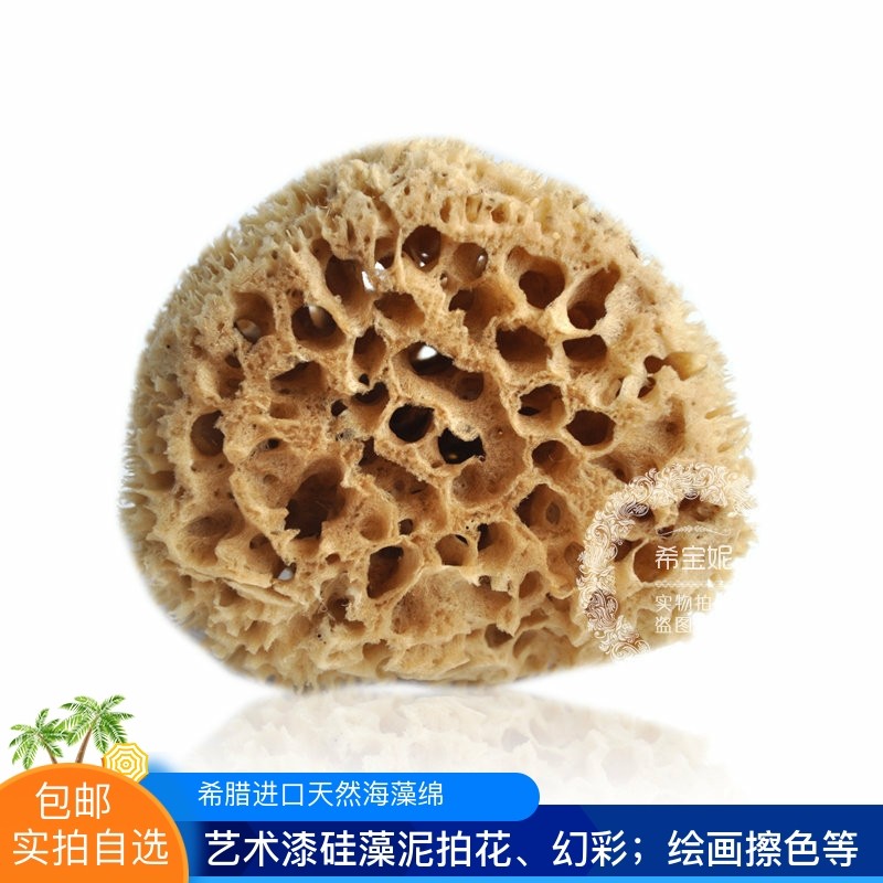 希腊地中海纯天然海藻棉中小号蜂窝海绵 硅藻泥艺术漆 非洗脸洗澡