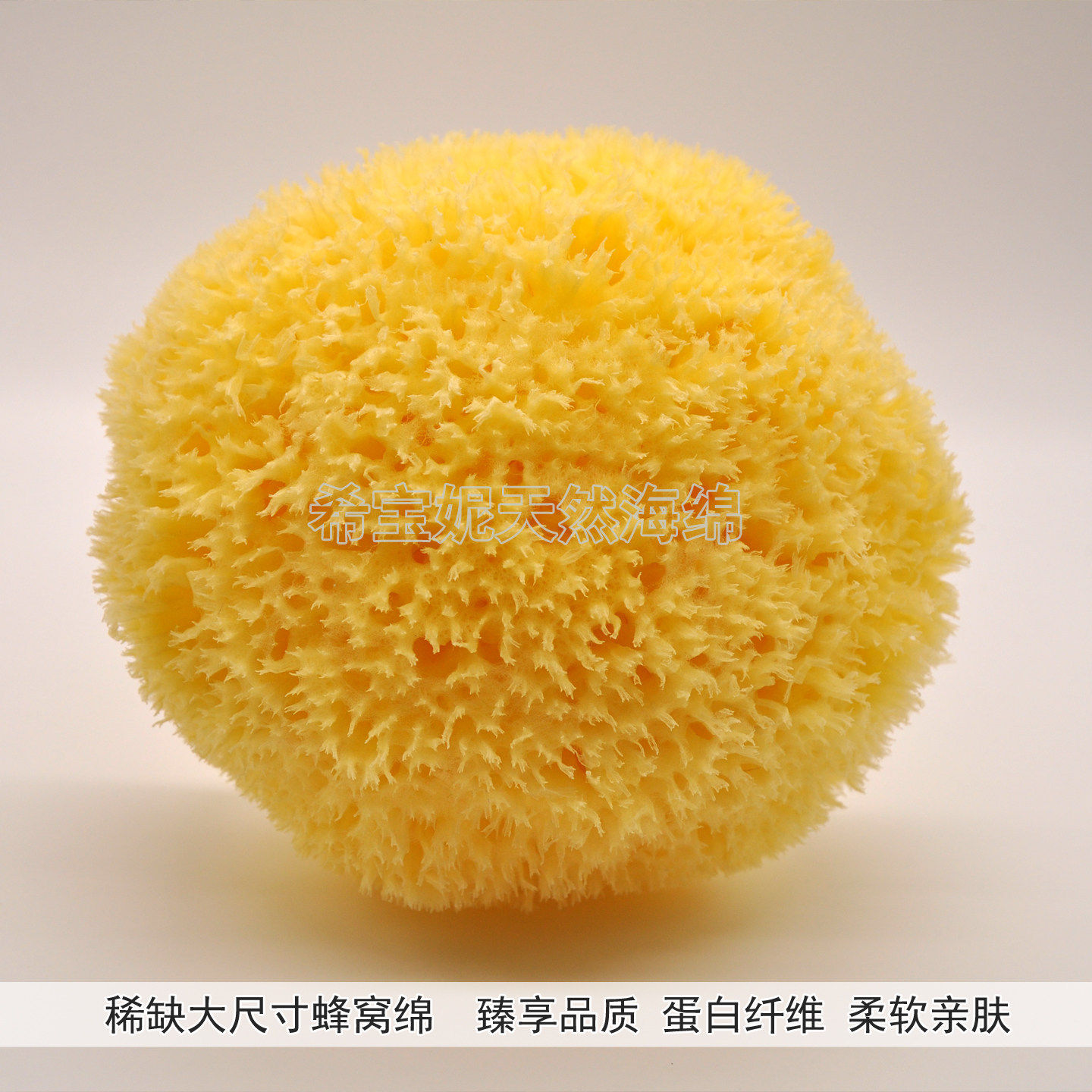 新品稀缺大尺寸洗澡沐浴棉 希腊天然海藻棉地中海蜂窝海绵6.5英寸