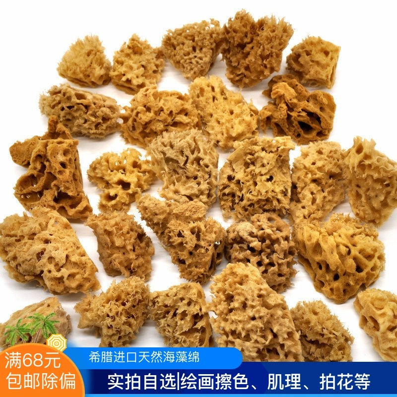 希腊天然海绵迷你超小蜂窝绵草海绵 素描绘画擦色油画印花 非洗脸