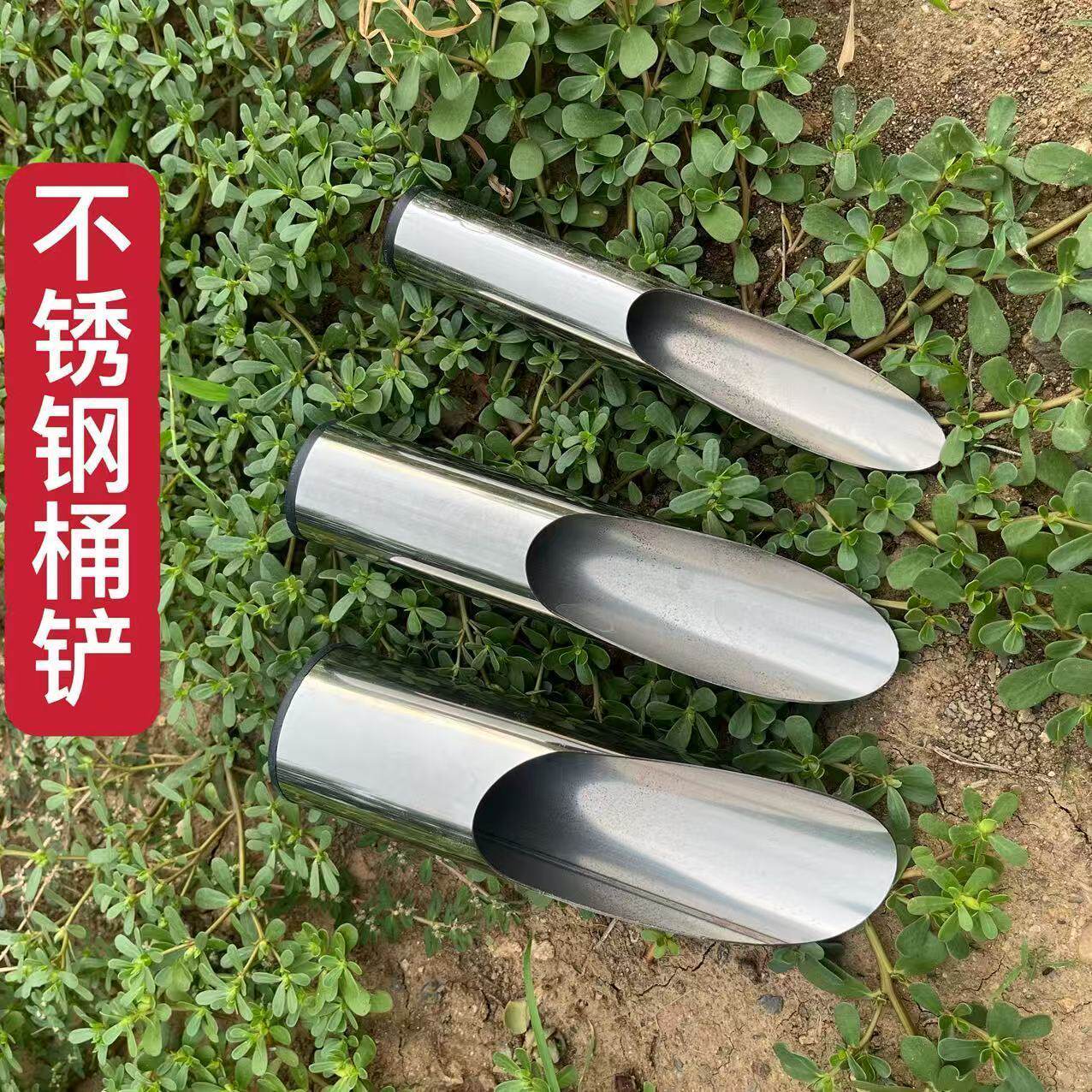 多肉工具不锈钢桶铲子花盆施肥神器种多肉养花种花工具铲园艺工具
