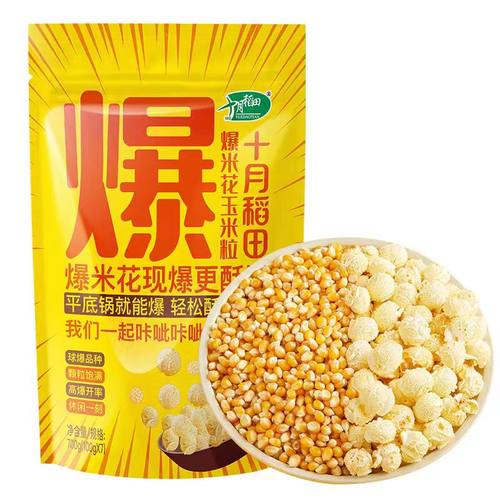 球形爆米花玉米粒东北十月稻田