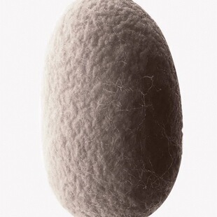 天然完整桑蚕无漂烘干蚕茧带蚕蛹可抽丝手工蚕丝扇材料包