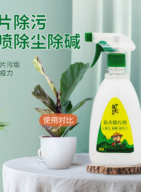 醉美园林叶面除污剂绿叶专用绿植去污亮叶剂除碱除尘叶片清洁剂