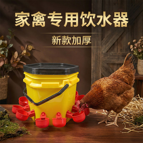 鸡饮水器自动喂水小鸡喝水的水碗养鸭鹅鹌鹑鸽子专用水壶喂鸡神器