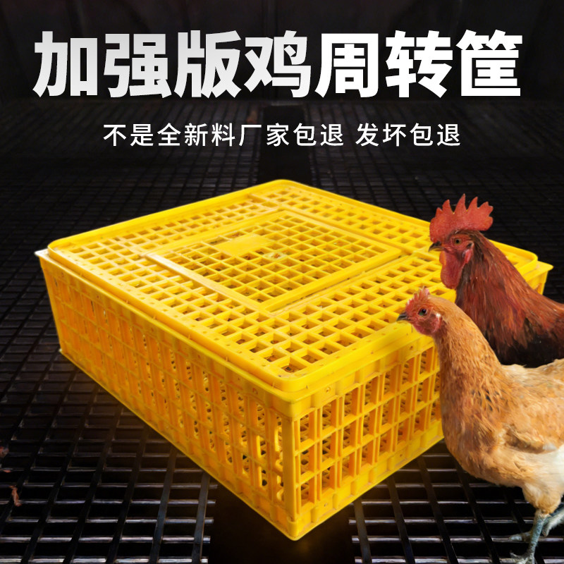鸡笼运输笼成鸡鸭鹅鸽子笼子家用大号兔笼养殖笼塑料家禽周转箱筐,畜牧/养殖物资,养殖用具,淘宝优惠券,粉丝福利购,淘宝优惠卷