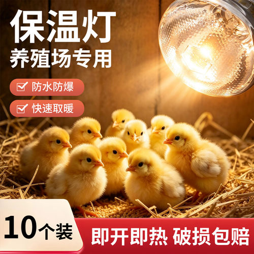 保温灯养殖场专用小鸡育雏取暖灯泡养殖加热灯养鸡保暖灯猪用烤灯
