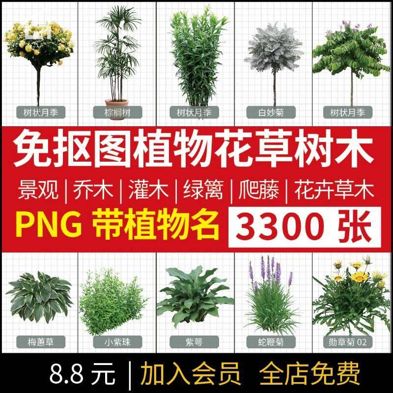 景观效果图分析图ps常用带名字植物png免抠图花草树木灌木psd素材