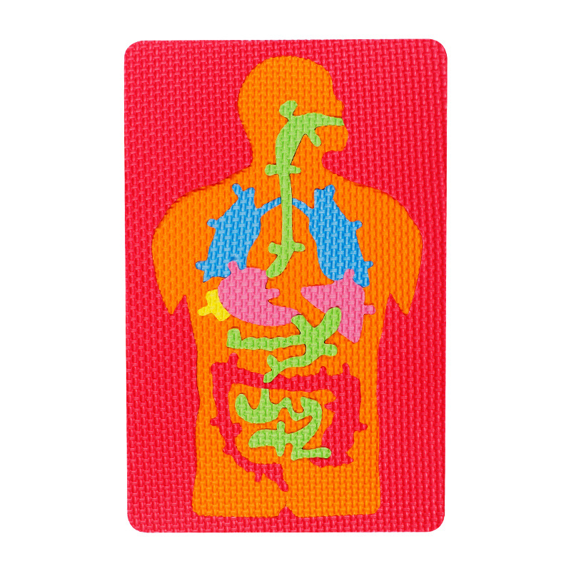 儿童益智科教玩具大号人