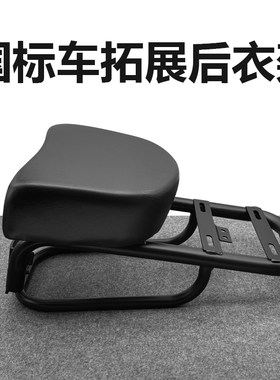 国标电动车F6延长架后货架