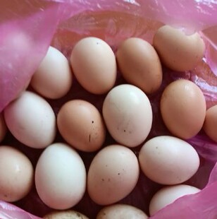 乡下邻家家养土鸡蛋吃稻谷吃菜叶身体恢复补身体江西萍乡市莲花县