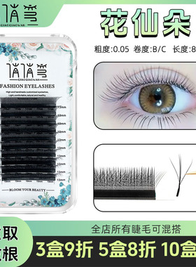 花仙朵花仙子三叶草睫毛开花网红款仙子款仙女款嫁接睫毛美睫店用