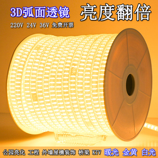 led灯带100米超亮220V工地下室照明隧道矿井养殖场专用长条暖白色