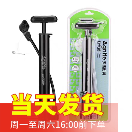 得力F1304安格耐特打气筒可充篮球足球排球学生用便携式简约设计
