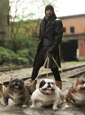 Mr.Z 1/6仿真美国恶霸犬高端模型狗模玩摆件树脂动物雕像手办饰品