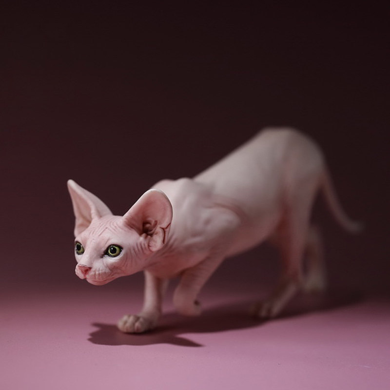 JXK 1/6加拿大无毛猫模型 创意仿真动物周边萌宠潮玩桌面树脂手办