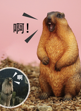 仿真豚鼠旱獭简约桌面摆件