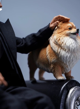 JXK 1/6 博美犬仿真高端模型狗可爱萌系宠物狗潮玩小道具手办摆件