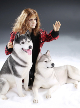 【Mr.Z】1/6 哈士奇2.0 高端动物模型仿真狗狗树脂摆件治愈系手办