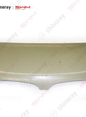 华晨金杯X30新海狮T3T5SRM鑫源T5EVX30LEV新海豚机盖前仓盖电泳件