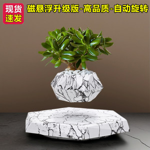 反重力磁悬浮空中花盆盆栽办公桌摆件情绪稳定家居客厅玄关装饰品