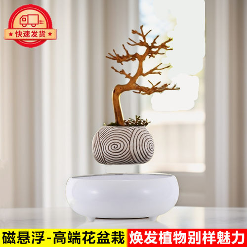 磁悬浮花盆治愈情绪稳定解压桌面摆件花草绿植物盆栽装饰品展示台