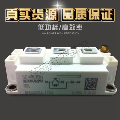 全新SKM300GAL123DIGBT模块 量多从优 欢迎订购