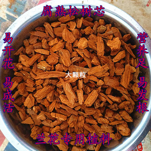 兰花土橡树叶腐叶腐熟松树芯多肉君子兰专用天然营养腐殖土花土