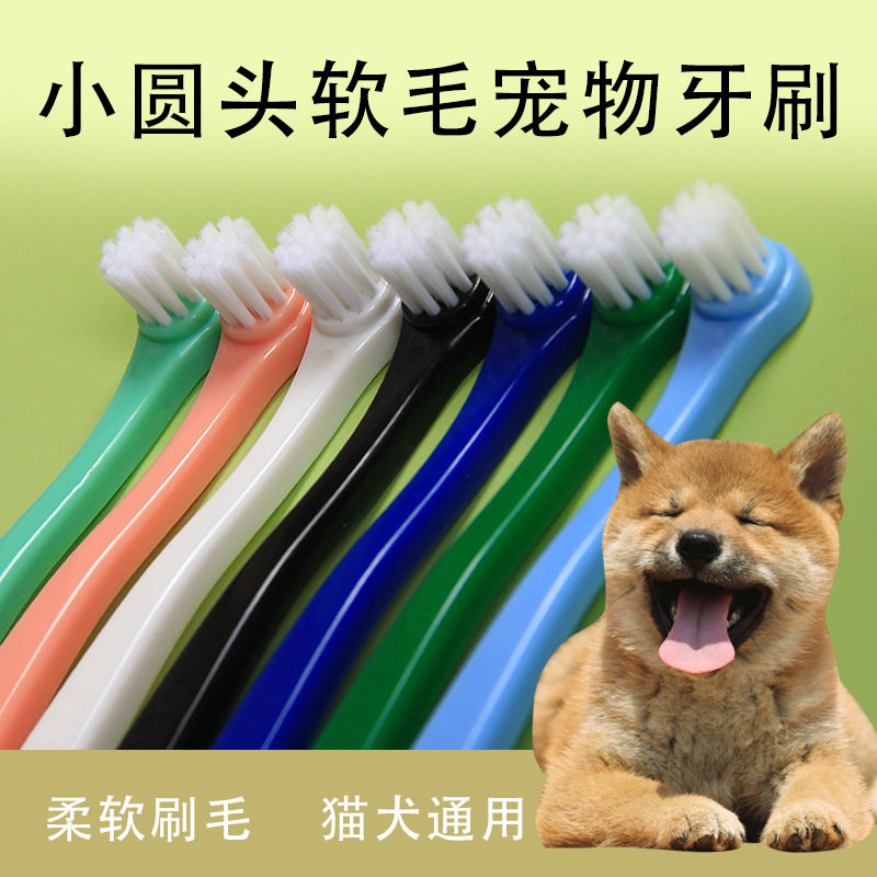 宠物牙刷用品牙齿清洁一次性圆头独立包装口腔宠物店专用