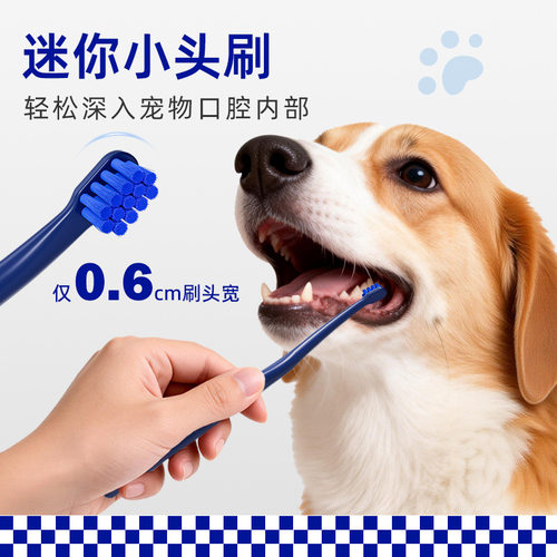 猫咪狗狗专用宠物小头精细清洁刷