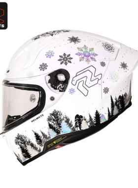 RR头盔FF101全盔摩托车情侣四季机车骑士防摔通勤男女通用暴力熊