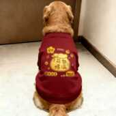 金毛狗狗衣服秋冬新年喜庆 吉祥中大型两脚衣犬萨摩耶 荷包爆满