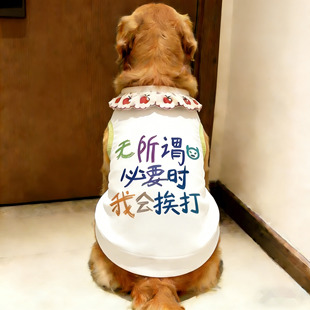 无所谓金毛狗狗背心夏季凉感中大型犬趣味”我会挨打”薄款宠物服