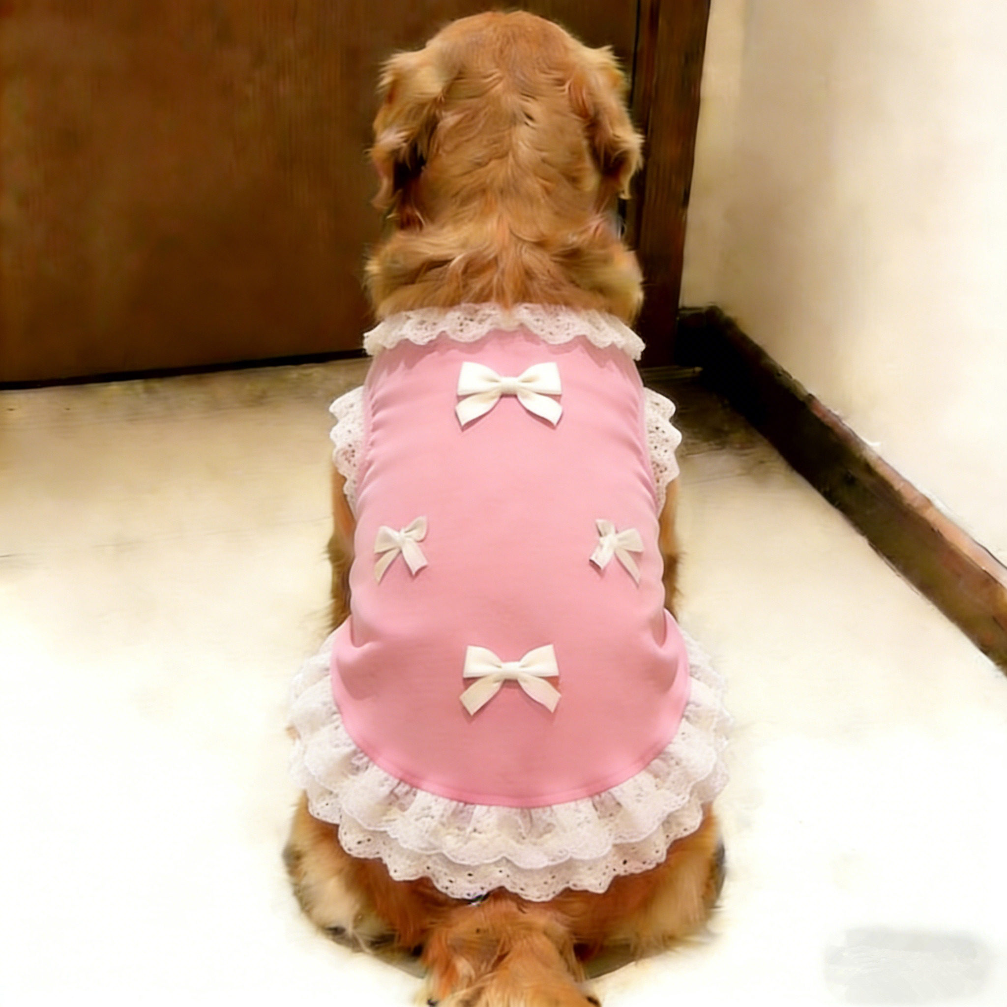 洋气金毛狗狗衣服中大型犬狗狗背心薄款夏季高颜值宠物衣服萨摩耶