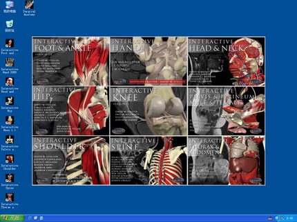 交互式解剖9CD Human Anatomy Primal 3D Interactive Series 9CD