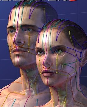 中医针灸经络经脉穴位The Meridian医学软件（已付费版除苹果外）