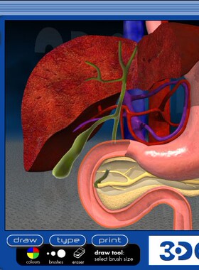 人体三维解剖软件 3Dclinic Software（免安装直接用已注册）