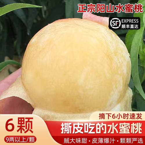 正宗阳山水蜜桃新鲜礼盒