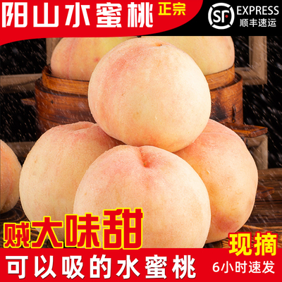 【正宗】无锡阳山水蜜桃正宗新鲜大桃子水果礼盒装现摘顺丰包邮