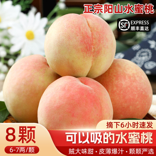 【正宗】无锡阳山水蜜桃新鲜水果礼盒装当季现摘现发桃子顺丰包邮