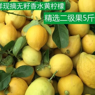 广东香水柠檬新鲜皮薄多汁无籽无核二级黄柠檬西柠现摘奶茶店5斤