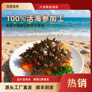 即食辽参大连鲜食海参全熟无添加野生海参特价单个袋装非淡干孕妇