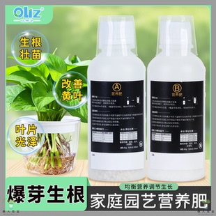 霍格兰无土栽培AB营养液水培液蔬菜绿植通用浓缩肥家庭种植水溶肥